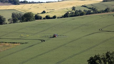 Un agriculteur épand un produit phytosanitaire dans son champ, en mai 2019, à Sainte-Mère (Gers).&nbsp; (SEBASTIEN LAPEYRERE / HANS LUCAS / AFP)