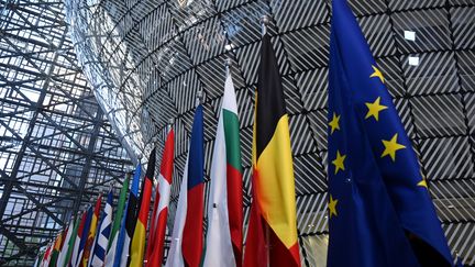 Les drapeaux européens et nationaux à Bruxelles, le 13 mai 2019. (EMMANUEL DUNAND / AFP)