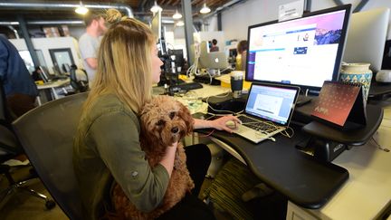 Aux Etats-Unis, une entreprise sur cinq autorise ses salariés à venir au bureau avec leur chien (photo d'illustration) (FREDERIC J. BROWN / AFP)