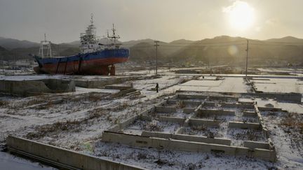 Un habitant prom&egrave;ne son chien, le 11 mars 2013, &agrave; Kesennuma.&nbsp; (KYODO / REUTERS)