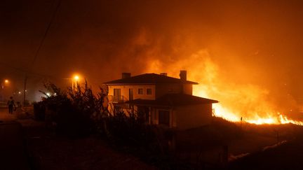 Un feu de forêt s'approche d'une maison à Aveiro, sur la côte ouest du Portugal, le 16 septembre 2024. (PATRICIA DE MELO MOREIRA / AFP)