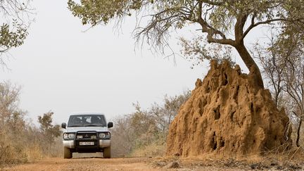 Une photo du parc W au Niger, le 18 mars 2007. (MICHEL GUNTHER / BIOSPHOTO / AFP)