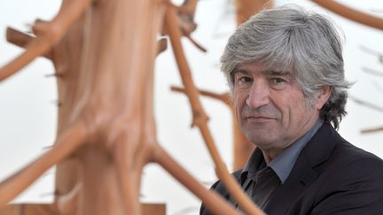 Le sculpteur italien Penone au musée de Grenoble, novembre 2014
 (JEAN-PIERRE CLATOT / AFP)