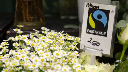 Le commerce équitable concerne désormais de nombreuses filières: produits alimentaires, textile, cosmétiques, artisanat, tourisme, mais aussi, comme ici, certaines fleurs coupées.&nbsp;

 (FRANK MOLTER / DPA)