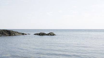 Le projet de la start-up française consiste à libérer l'oxygène dans la mer pour lui redonner un peu d'air, photo d'illustration. (SIGRID OLSSON  / MAXPPP)