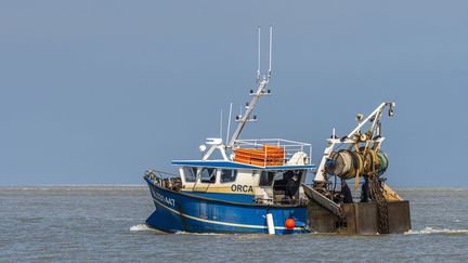 Le 27 mai 2021, un chalutier revient au port Le Hourdel, au sud de la Baie de Somme avec la marée montante pour décharger sa pêche de crevettes grises.&nbsp; (BOUILLAND STEPHANE / HEMIS.FR VIA AFP)