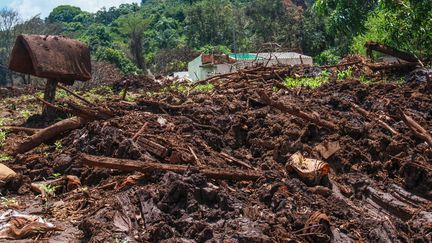 Un matelas est toujours suspendu sur une souche d'arbre parmi la boue et les débris, dans le quartier de Parque das Cachoeiras, le 18 mars 2019.&nbsp; (AFP)