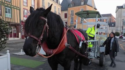 Initiative :  au Mans, un cheval de trait aide à collecter les déchets