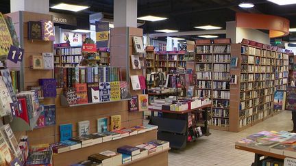 Les livres sont aussi victimes de piratage. Sur Internet, des sites illégaux proposent des dizaines de milliers d'ouvrages, sortis récemment.