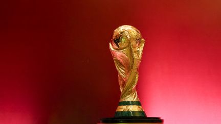 Le trophée de vainqueur de la Coupe du monde&nbsp;de football lors du tirage au sort du deuxième tour des qualifications de la zone Afrique, le 21 janvier 2020. (MOHAMED EL-SHAHED / AFP)