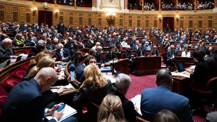 L'hémicycle du Sénat, au Palais du Luxembourg à Paris, le 9 novembre 2022 (ALEXIS SCIARD / MAXPPP)