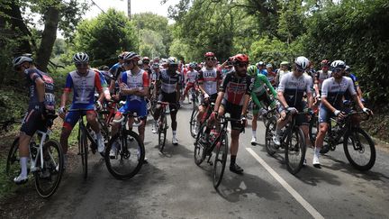 Le peloton à l'arrêt pour marquer son mécontenement au lendemain des nombreuses chutes, le 29 juin lors de la 4e étape du Tour de France. (MAXPPP)