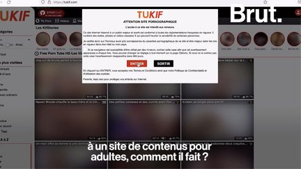 VIDEO. Comment restreindre l'accès aux sites pornographiques pour les mineurs ? (BRUT)