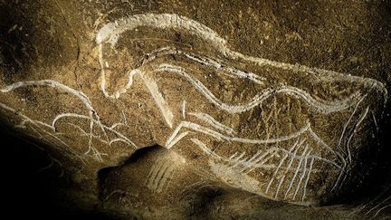 Un cheval dessiné il y a 36.000 ans sur une des parois de la grotte Chauvet-Pont d'Arc, en Ardèche
 (JEFF PACHOUD / AFP)