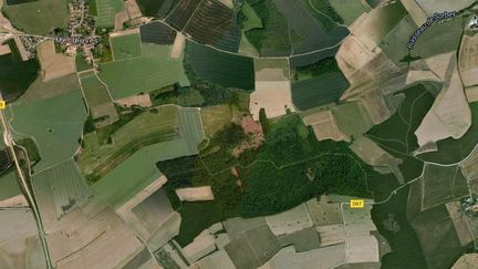 Les clous de charpentier ont &eacute;t&eacute; plant&eacute;s sur un chemin forestier du bois Cama, pr&egrave;s de M&eacute;gleuves (Moselle). (GOOGLE MAPS)