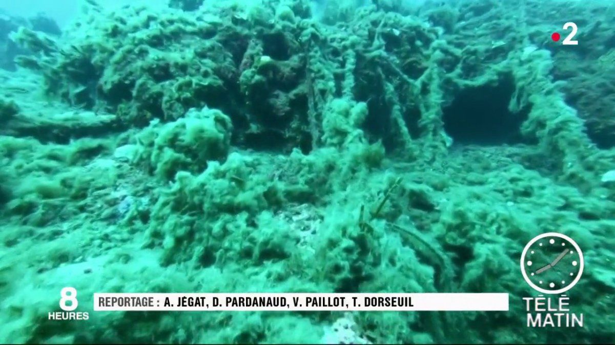 Filets de pêche et déchets en mer, une association marseillaise a