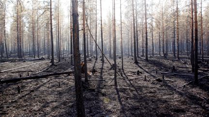 Feux de forêt : les pompiers aux aguets