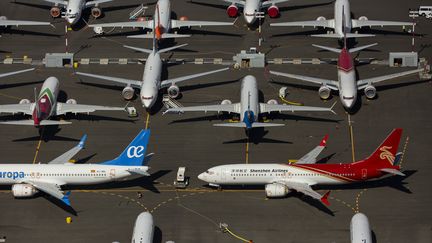 Des avions Boeing 737 MAX à Seattle (nord-est des Etats-Unis), le 13 août 2019.&nbsp; (DAVID RYDER / AFP)