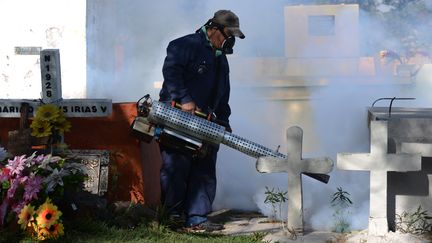 Le ministère de la santé éliminent les larves de moustique dans un cimetière de Tegucigalpa (Honduras)&nbsp;le 21 Janvier, ici 2016. (ORLANDO SIERRA / AFP)