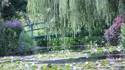 Nénuphars, Giverny, Claude Monet, Jardin Claude Monet. France (Fondation Claude Monet)