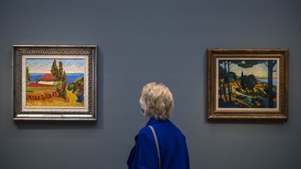 Un visiteur devant les toiles "Paysage&nbsp;à Cassis" de Derain et "Paysage en Corse" d'Herbinlors d'une exposition à Potsdam. (JOHN MACDOUGALL / AFP)