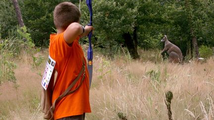 Plongée dans la discipline du tir 3D avant les championnats du monde à  Robion