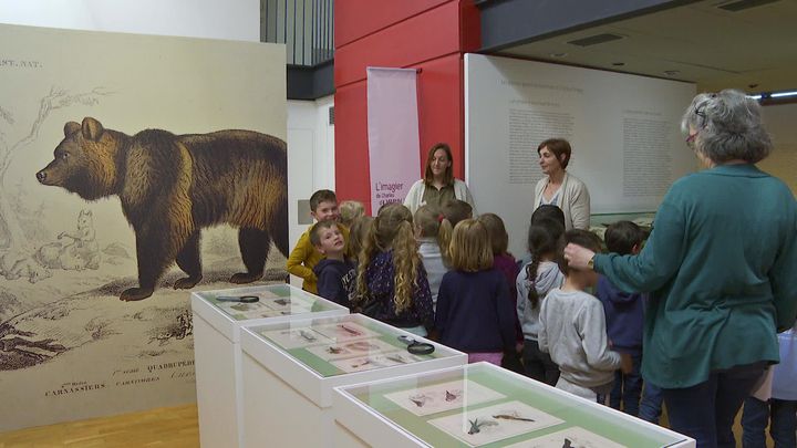 Une exposition idéale pour les enfants.  enfants. Un espace leur est dédié avec un accrochage des œuvres à hauteur de leurs yeux. (France 3 Normandie)