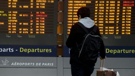 A l'aéroport de Roissy Charles-de-Gaulle (Val d'Oise), le 26 janvier 2016. (KENZO TRIBOUILLARD / AFP)