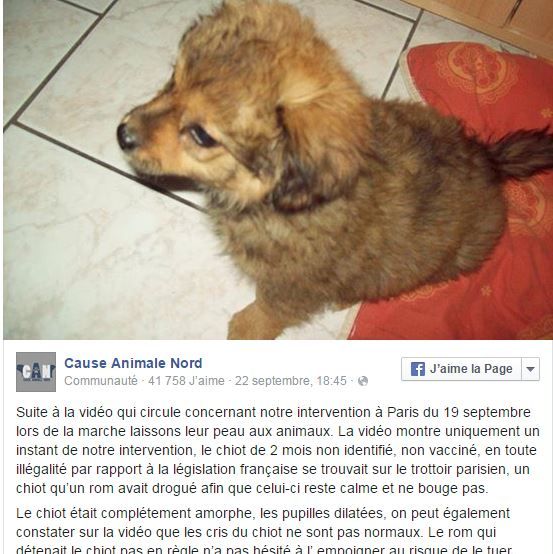 Capture d'&eacute;cran Facebook du compte Cause animale nord, le 24 septembre 2015. (CAUSE ANIMALE NORD)