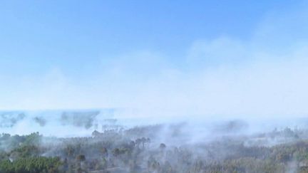 Incendies : la Gironde toujours en proie aux flammes