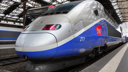 Un TGV en gare de Lyon, &agrave; Paris, le 12 juillet 2014. Le collectionneur&nbsp;Francesco Plateroti a oubli&eacute; ses peintures dans le train Paris-Gen&egrave;ve "9789"&nbsp;du 21 novembre 2014.&nbsp; (MANUEL COHEN / AFP )