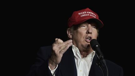 Donald Trump, en meeting en Pensylvanie le 6 novembre 2016, à la veille de l'éléction présidentielle américaine. (MANDEL NGAN / AFP)