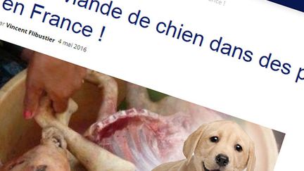 &nbsp; (Non, de la viande de chien n'a pas été retrouvée dans des pizzas © Capture d'écran Nordpresse.be)