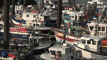 Pêche dans la Manche : l'île de Jersey accorde 49 licences temporaires à la France