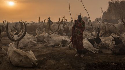 Les Dinkas, des agriculteurs-pasteurs du&nbsp;Soudan du Sud (STEFANIE GLINSKI / AFP)