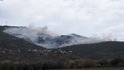 Un incendie près de Barbaggio en Corse, le 3 janvier 2024. (Fiora Garenzi / Hans Lucas / Hans Lucas via AFP)