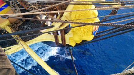 &nbsp; (Des dauphins jouant autour de l'étrave de l'Hermione. © Nicolas Chambon, gabier sur l'Hermione)