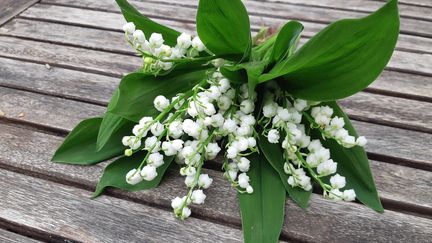 Un brin de muguet, qui cette année ne pourra pas être acheté chez le fleuriste, sauf s'il a été commandé auparavant.&nbsp; (RACHEL NOËL / FRANCE-BLEU LORRAINE NORD)