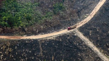 Une partie de la forêt brûlée, près de Boca do Acre au Brésil, le 24 août 2019. (LULA SAMPAIO / AFP)