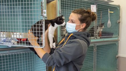 Une salariée de la Société protectrice des animaux (SPA) à Amiens (Somme), le 26 août 2021. (STEVEN WASSENAAR / HANS LUCAS / AFP)