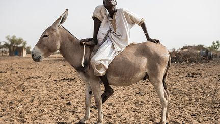 &nbsp; En dernier ressort, de nombreux Peuls se tournent vers le Ranch de Dolly, un territoire de 87,5 hectares réservé aux activités pastorales depuis 1969. Là, à la saison sèche, la végétation subsiste plus longtemps.&nbsp; &nbsp; &nbsp; &nbsp; (JOHN WESSELS / AFP)