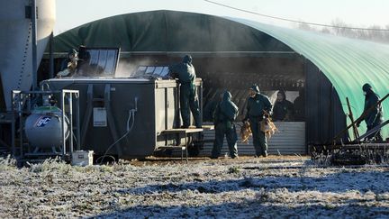 En quatre mois, quatre millions de volatiles ont été abattus en France, afin de ralentir la propagation du virus. Ici, à Latrille, dans les Landes, en janvier 2017. (LE LIEVRE NICOLAS / MAXPPP)