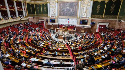 L'hémicycle de l'Assemblée nationale, à Paris, le 11 février 2020.&nbsp; (THIERRY THOREL / NURPHOTO / AFP)