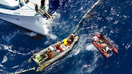 Photo, prise par un phographe de Greenpeace, montrant des heurts entre les militants de l'ONG et des pêcheurs français (AFP - GREENPEACE - PAUL HILTON)