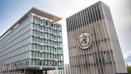 Le siège de l'ONU à Genève (Suisse), le 18 août 2022. (BENJAMIN POLGE / HANS LUCAS / AFP)