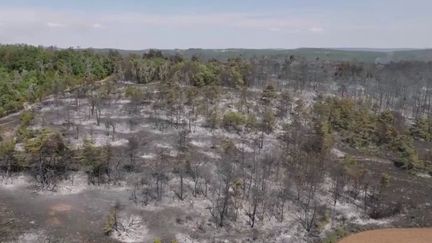 Vendredi 28 octobre, le Président Emmanuel Macron a dévoilé un plan de réarmement aérien d'urgence dans la lutte contre les incendies. (FRANCEINFO)