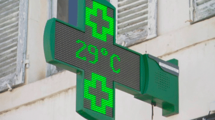 Canicule : la Bourgogne sous les fortes chaleurs (France 3)