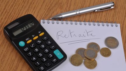 Une calculatrice pour compter ses droits à la retraite, le 17 janvier 2020. (MAXPPP)