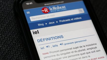 Illustration du pronom non genré "iel", qui intègre le dictionnaire en ligne du Robert. Paris,&nbsp;le 19 novembre 2021. (SEBASTIEN MUYLAERT / MAXPPP)