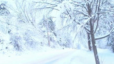 États-Unis : une violente tempête hivernale menace le pays